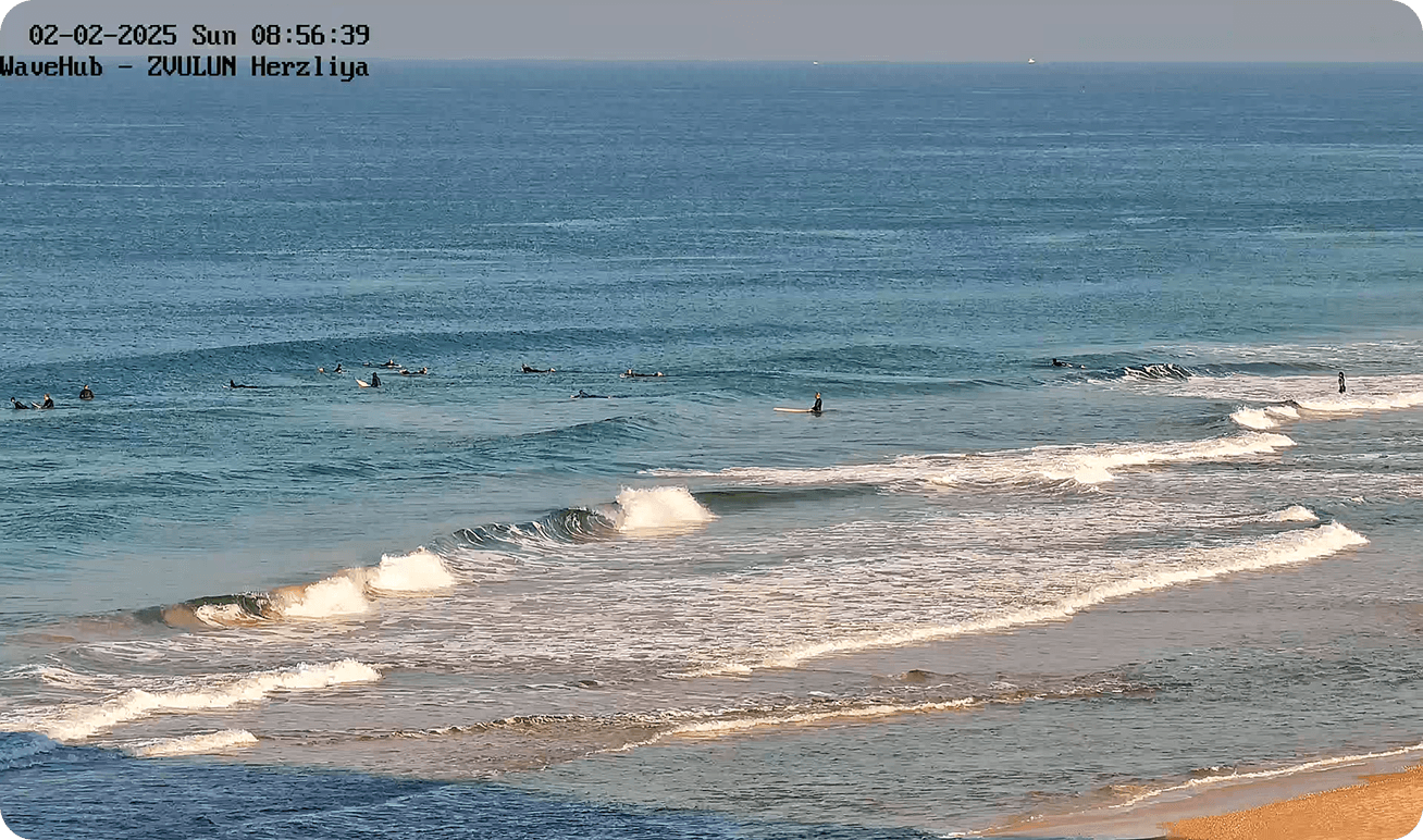 מה אנחנו מציעים